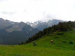 SAM_0782-1.jpg