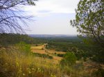 DSCN4686.JPG