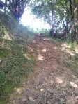 CAM01139.jpg