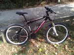 WP_20130717.jpg