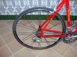 DSC04830.jpg