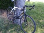 IMG00193-20130718-1011.jpg