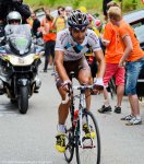 tdf13st18mw-01riblon.jpg