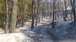 DSC_1110_1000x562.jpg