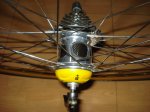 DSC00353.JPG
