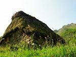 DSCN6420.JPG
