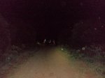 DSC04370.JPG