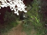 DSC04390.JPG