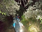 DSC04394.JPG