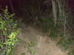 DSC04396.JPG