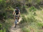 IMG_3786 (Copiar).JPG