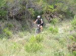 IMG_3788 (Copiar).JPG
