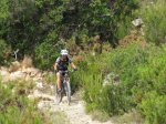 IMG_3802 (Copiar).JPG
