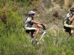 IMG_3805 (Copiar).JPG