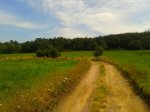 2013-07-20 12.14.19.jpg