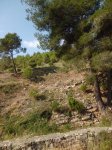 CIMG6401 (Copiar).JPG