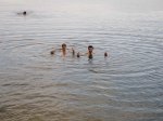 DSCN2989-1.jpg