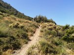 20130721_115245.jpg