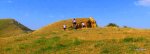DSCF1441.JPG
