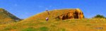 DSCF1447.JPG