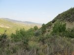 IMG_2685.JPG
