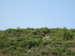IMG_2713.JPG