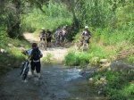 IMG_2754.JPG