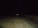 DSC01323.jpg