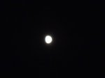 DSC01332.jpg