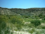 18-6-02_004.jpg