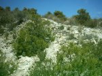 18-6-02_005.jpg