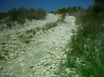 18-6-02_006.jpg