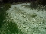 18-6-02_007.jpg
