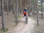 mini-IMG_2397.jpg
