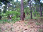 DSCN3697.JPG