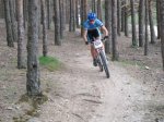 mini-IMG_2406.jpg