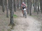 mini-IMG_2411.jpg