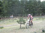 mini-IMG_2429.jpg