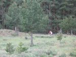 mini-IMG_2431.jpg