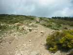 DSCN0044.JPG