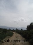13.JPG