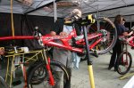 IMG_5174.JPG