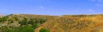 DSCF1457.JPG
