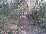 IMG-20130718-WA0004.jpg