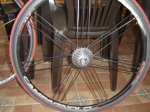DSC00125.JPG