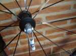 DSC00133.JPG