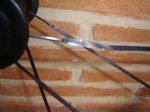DSC00134.JPG