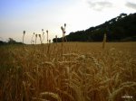 DSCN4700.JPG