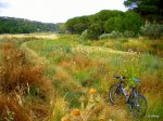 DSCN4701.JPG
