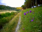 DSCN4702.JPG